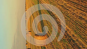 Aerial View Of Summer Hay Rolls Straw Field Landscape In Evening. Haystack, Hay Roll in Sunrise Time. Natural