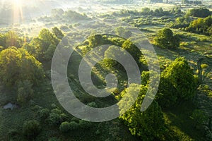 Aerial view of summery sunrise above meadow and forest