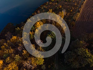 Aerial view of sunrise in autumn. top down. Meadows, orange grass, trees at dawn. Colorful landscape of river coast at sunset in