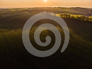 Aerial view of sunrise ofer green grain field