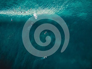 Aerial view with surfers and barrel wave in tropical blue ocean. Top view