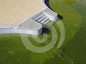 Aerial view of a swimming pool with green water in autumn