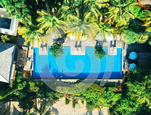 Aerial view of swimming pool, sunbeds and umbrellas, green palms