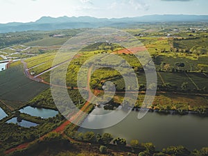 Aerial view of Tam Chau tea plantation in Bao Loc city, Lam Dong province, Vietnam