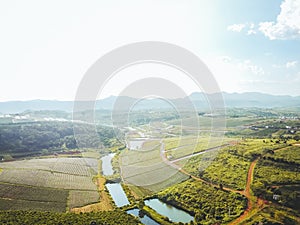 Aerial view of Tam Chau tea plantation in Bao Loc city, Lam Dong province, Vietnam