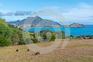 Aerial view of Taurikura bay in New Zealand