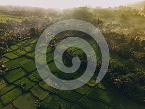 Aerial view of Tegallalang Bali rice terraces on Bali, Indonesia