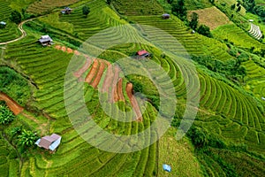 Aerial view of terrace rice field in north Thailand