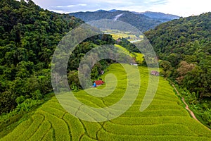 Aerial view of terrace ricefield in north Thailand