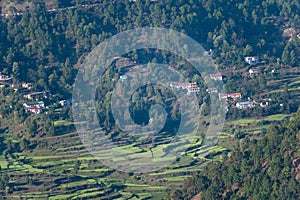 Aerial view of terraced green fields in the Himalayan village of Kausani