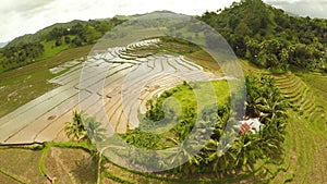 Aerial view terraced rice field in Bohol island. Philippines. Beautiful nature Filipino.