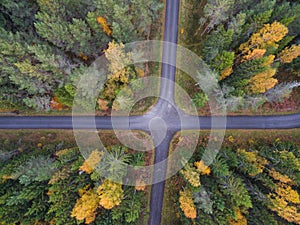 Aerial view of thick forest in autumn with road cutting through