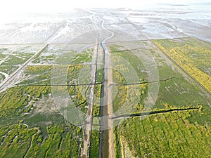 Aerial view of tidal channels and gullies, Waddenzee, Holland