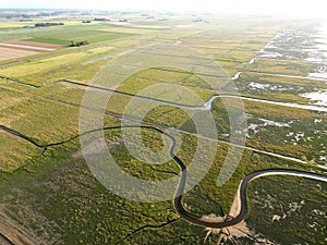 Aerial view of tidal channels and gullies, Waddenzee, Holland