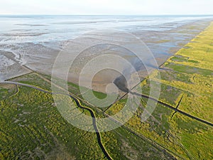 Aerial view of tidal channels and gullies, Waddenzee, Holland