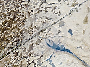 Aerial view of tidal channels and gullies, Waddenzee, Holland photo