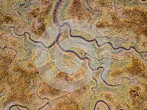 Aerial view of tidal marshland