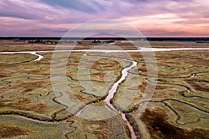 Aerial view of tidal marshland