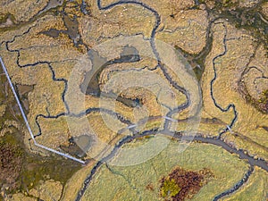 Aerial view of tidal marshland