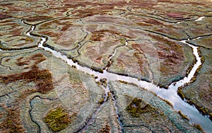 Aerial view of tidal marshland