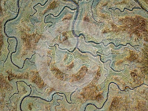 Aerial view of tidal marshland