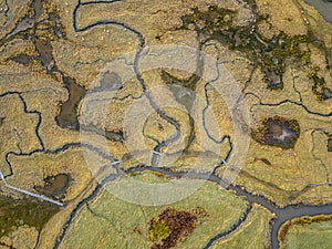 Aerial view of tidal marshland