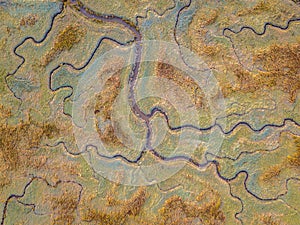 Aerial view of tidal marshland