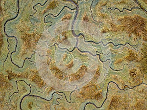 Aerial view of tidal marshland crop