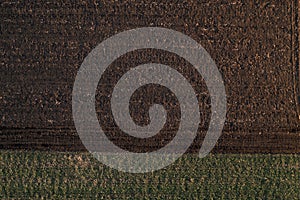 Aerial view of tilled field in sunset, top view photo