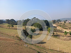 aerial view of a tilled lands for farming and agriculture in rural India