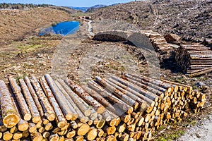 Aerial view of timber stacks at Bonny Glen in County Donegal - Ireland