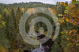 Aerial view to Brasla river running through green and yellow forest in autumn.