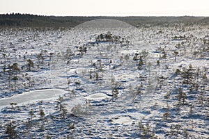 Vista aérea sobre el estonio turba pantano escenario fresco la nieve a 