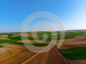 Vista aérea sobre el fértil a cultivable campo 