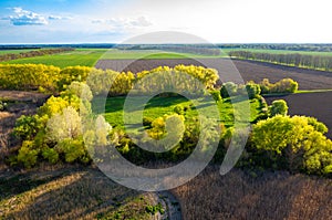 Aerial view to spring green fields and meadows