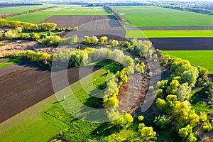 Aerial view to spring green fields and trees