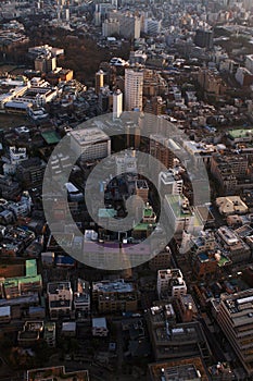 Aerial view of Tokyo downtown with colorful buildings