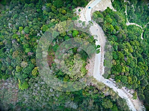 Aerial view top down drone shot above the winding mountain road between the trees rainforest,Phuket Thailand,in summer season