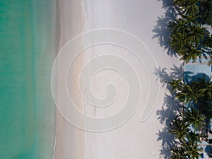 Aerial view top down. Palm tree on beach sand. Beach sea in sea water clear and beach sand