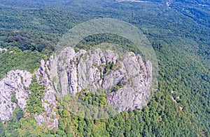 Top view of the rocks in the forest. photo