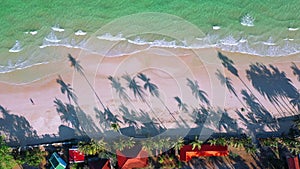 Aerial view top view Beautiful topical beach with white sand coconut palm trees and sea. Top view empty and coconut tree shadow