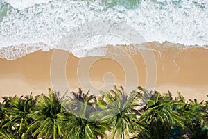 Aerial view top views Beautiful tropical beach with white sand coconut palm trees and sea. Top view empty and clean beach. Waves