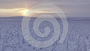 Aerial view of the toundra in the Urho Kekkonen Park in Finland