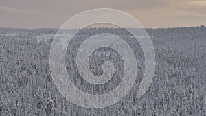 Aerial view of the toundra in the Urho Kekkonen Park in Finland