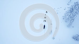 Aerial view of dogsledding in the arctic winter of Finnish Lapland.