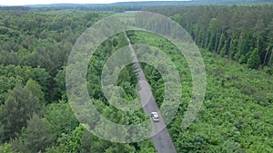 Aerial view tracking after car moving by speedway green forest by both side