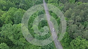 Aerial view tracking after car moving by speedway green forest by both side