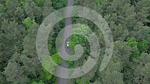 aerial view tracking after car moving by speedway green forest by both side