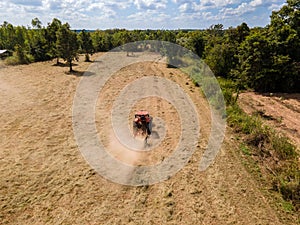 Aerial view of Tractor mowing pangola grass in field. animal feed