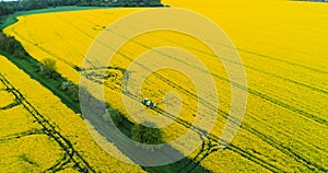 Aerial view of tractor spraying canola field.